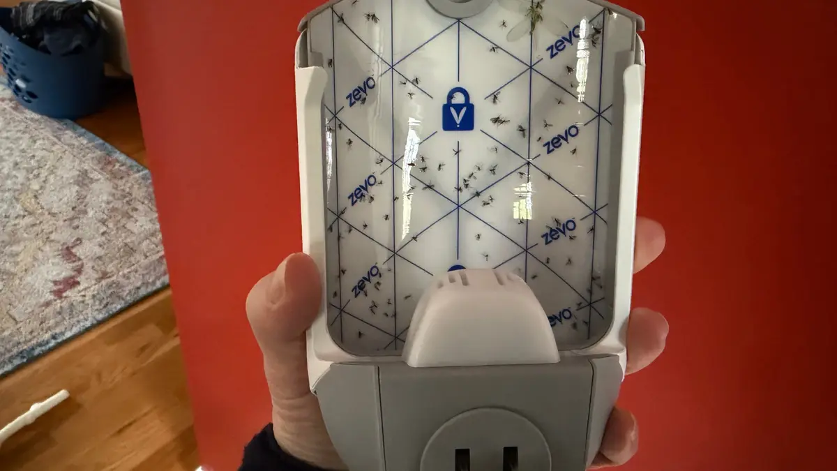 This $20 plug-in is the end to your fruit fly problem