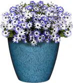 Product image of Classic Home and Garden Vogue Premiere Planter