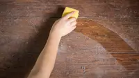 Don't deny that your furniture is filthy