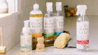 Branch Basics products lined up on counter, accompanied with a sponge and brush