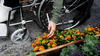 Person leaning over in their wheelchair to tend to orange flowers on ground.