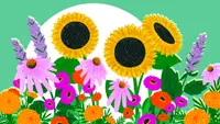 Illustration de fleurs printanières jaunes, roses, violettes et orange sur fond vert et blanc