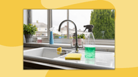 A set of cleaning supplies next to a kitchen sink