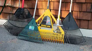 The best rakes for spring yard cleanup