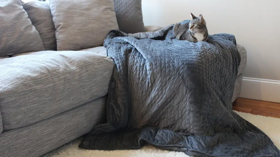 These are the best weighted blankets available today.
